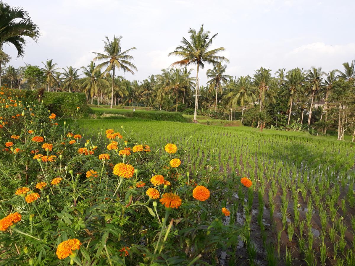 Villa Syailendra